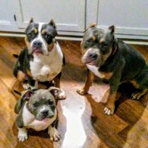 Meet your Posher, Joseph